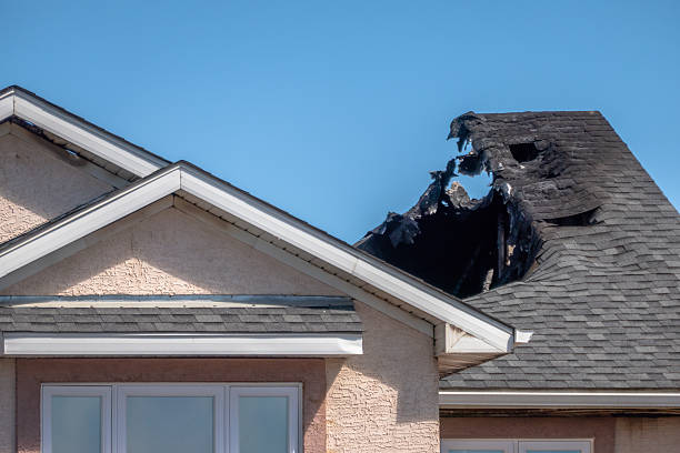 Top rated local Structural Rebuild specialists in Saint Petersburg, FL